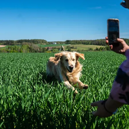 Odpoczink - Duzy Dom W Sercu Kaszub Holiday home Poleczyno