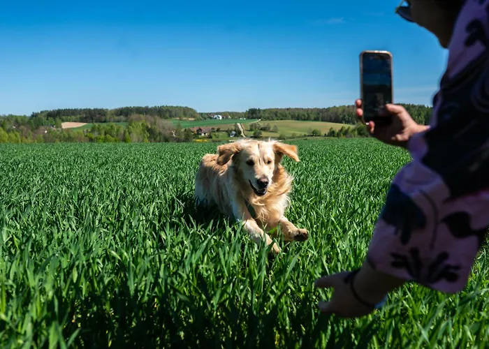 Odpoczink - Duzy Dom W Sercu Kaszub Tatil Evi Poleczyno